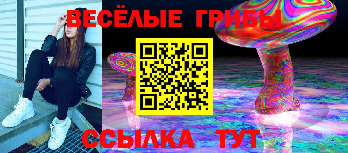 Чайковский  Псилоцибиновые грибы мицелий  закладки  Вход с VPN 