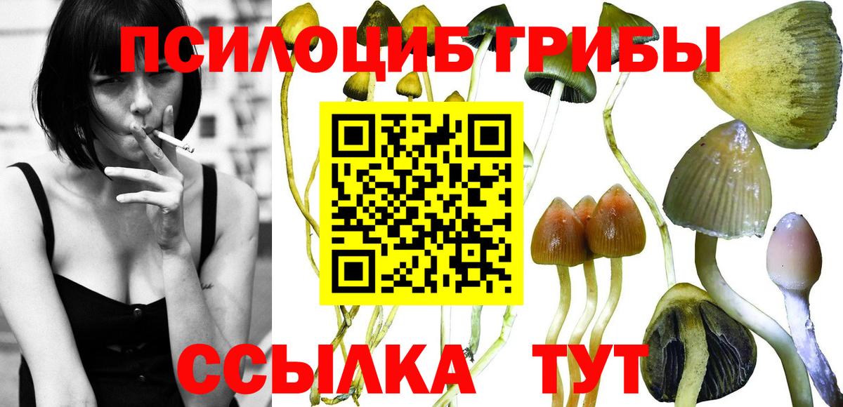 Псилоцибиновые грибы Cubensis Чайковский